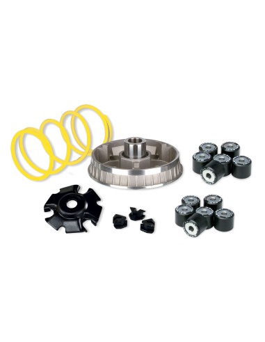variador multivar 2000 leonardo 125 scarabeo 125 5111257