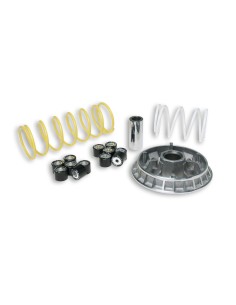 variador multivar 2000 pantheon 125 150 5111261