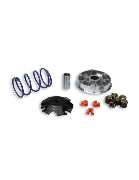 variador multivar 2000 speedfight 100 c catalizado 5111558