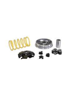 variador multivar 2000 cygnus 125 5111567