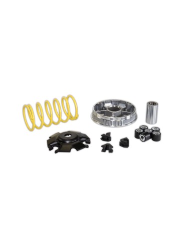 variador multivar 2000 cygnus 125 5111567