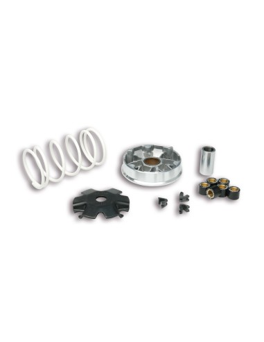 variador multivar peugeot v clic 50 4t 5113139