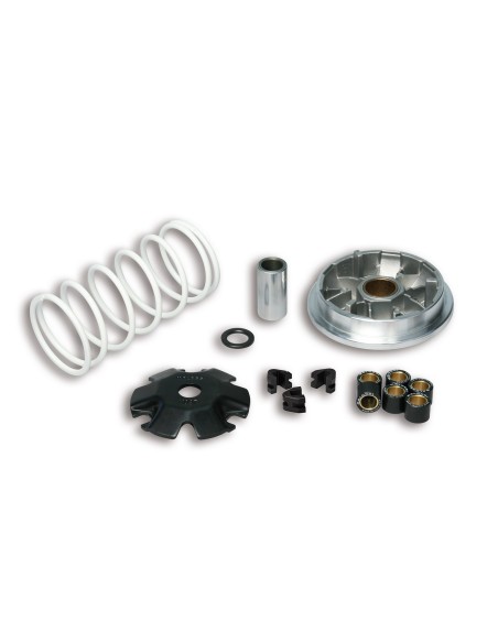 variador multivar sym symphony 50 5114206