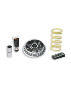 variador multivar suzuki burgman 400 k7 5114263