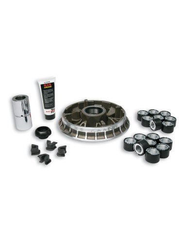variador multivar bmw c sport 600 5115501