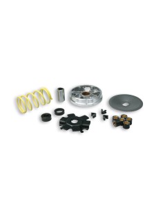 variador malossi multivar piaggio 50 513863