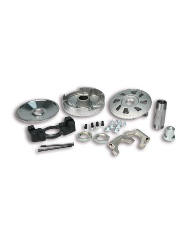 variador completo competicion mobilette peugeot 516839