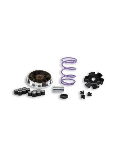 variador malossi multivar mhr piaggio 50 518648