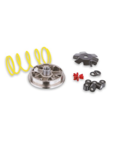 variador multivar pgo big max 518852