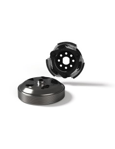 maxi delta system malossi vespa primavera iget 125 5217667