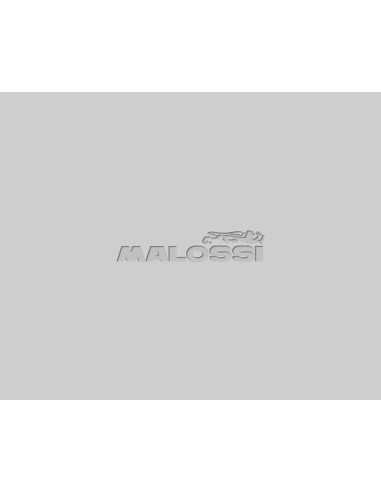cigenal malossi mhr team motor minarelli 5317827