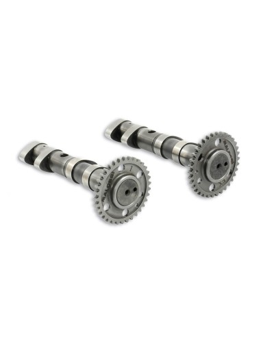 arbol de levas malossi power cam double yamaha t m 5915981