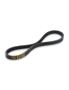 correa x kevalr belt mhr 6115822