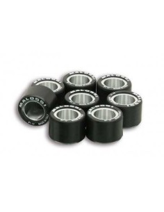 rodillo htroll 20x14 6 17 5 gr malossi 6611534n0