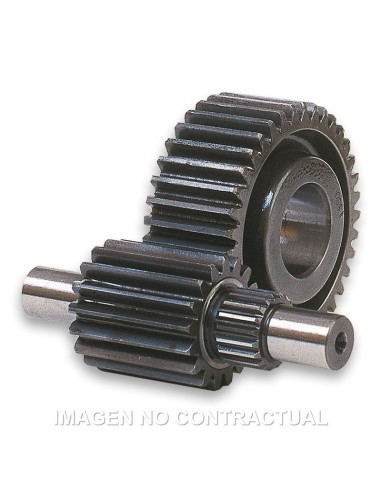 desarrollo secundario 17 41 panteon 125 150 6711060