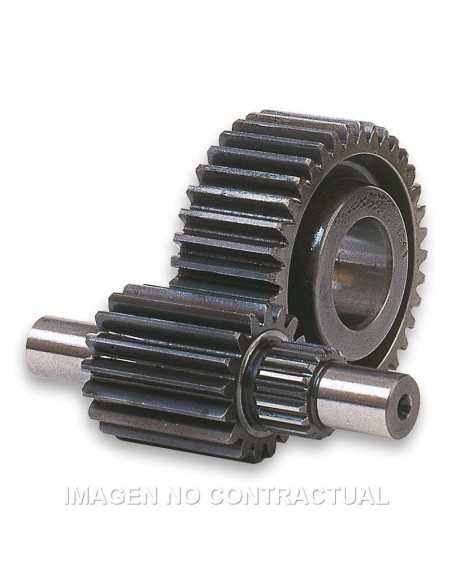desarrollo secundario 17 41 panteon 125 150 6711060