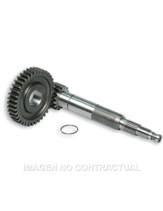 desarrollo primario largo zip sp 2000 6711449