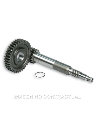 desarrollo primario largo zip sp 2000 6711449