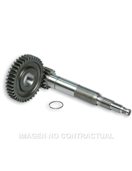desarrollo primario largo zip sp 2000 6711449