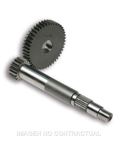 desarrollo primario malossi piaggio typhoon 125 6711492