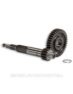 desarrollo primario largo gilera runner 679080