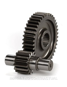 desarrollo secundario runner 125 679614