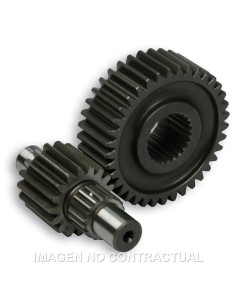 desarrollo secundario largo majesty 250 679974