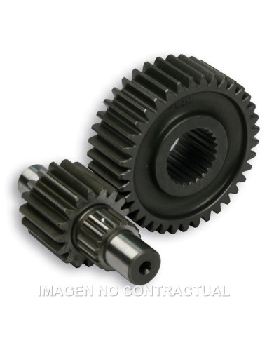 desarrollo secundario largo majesty 250 679974