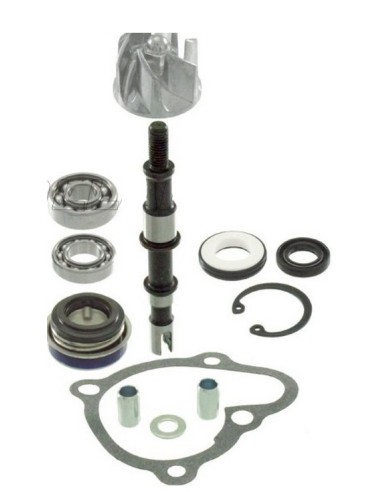 kit de repacion rms de bomba de agua kymco g dink 300 2012 12 100110460