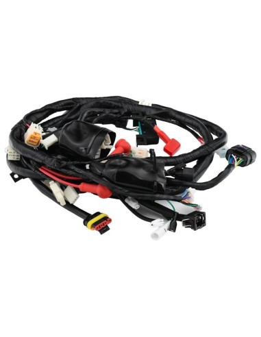 cableado principal zairon zs1