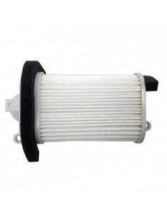 filtro de aire champion para moto caf5509 caf5509