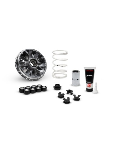 variador malossi 5120290 multivar 2000 para zontes 350 y 368