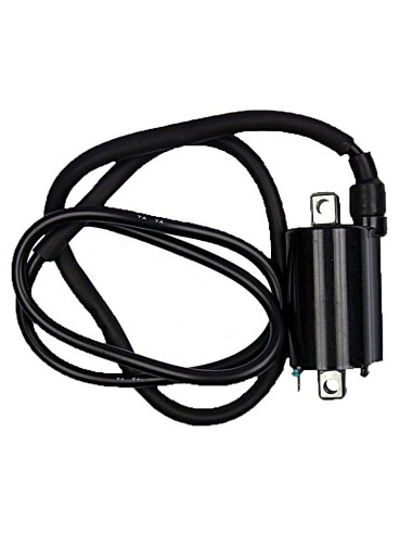 bobina 12v cc 4 5 ohm 2 fastons con cable 04010559