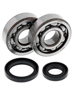 Kit de rodamientos cigeñal All Balls 241014