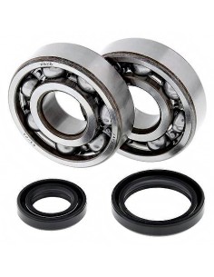 Kit de rodamientos cigeñal All Balls 241016