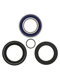 Kit de rodamientos rueda All Balls 251005