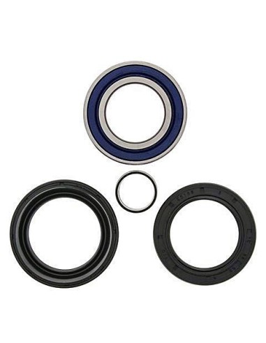 Kit de rodamientos rueda All Balls 251005