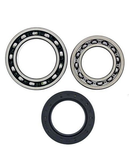 Kit de rodamientos rueda All Balls 251010