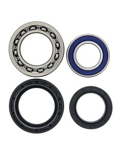 Kit de rodamientos rueda All Balls 251012