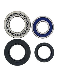 Kit de rodamientos rueda All Balls 251014