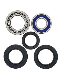 Kit de rodamientos rueda All Balls 251015