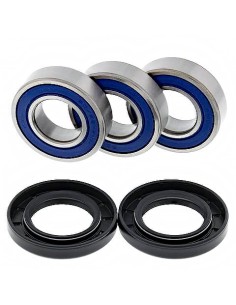 Kit de rodamientos rueda All Balls 251021
