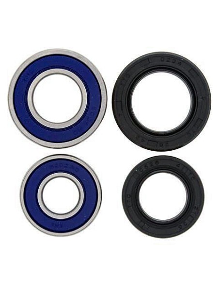 Kit de rodamientos rueda All Balls 251042