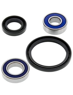 Kit de rodamientos rueda All Balls 251048