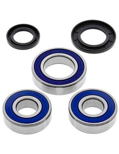 Kit de rodamientos rueda All Balls 251110