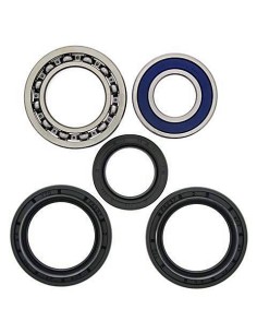 Kit de rodamientos rueda All Balls 251139