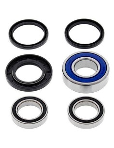 Kit de rodamientos rueda All Balls 251192