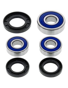 Kit de rodamientos rueda All Balls 251248