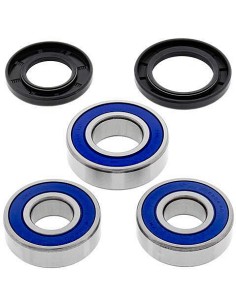 Kit de rodamientos rueda All Balls 251256