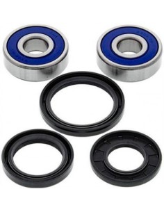Kit de rodamientos rueda All Balls 251310